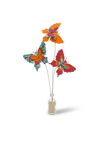 Box of 3 Butterflies Prestige Collection