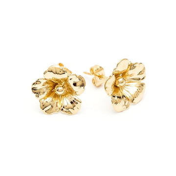 Earrings - Gaïa collection